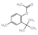Phenol,2-(1,1-dimethylethyl)-4-methyl-, 1-acetate Structure