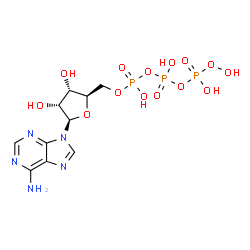 adenylyl 5'-peroxydiphosphate Structure