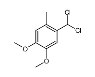 Benzene, 1-(dichloromethyl)-4,5-dimethoxy-2-methyl结构式
