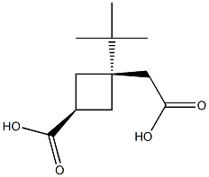 cis-3-tert-Butoxycarbonylmethyl-cyclobutanecarboxylic acid picture