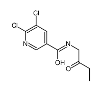 5,6-dichloro-N-(2-oxobutyl)pyridine-3-carboxamide Structure