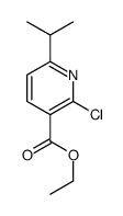 2-Chloro-6-isopropylpyridine-3-carboxylic acid ethyl ester结构式