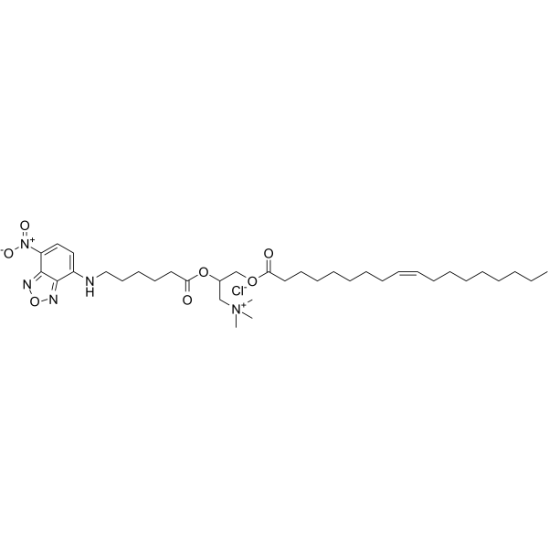 Fluorescent DOTAP structure