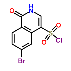 6-Bromo-1-oxo-1,2-dihydro-4-isoquinolinesulfonyl chloride结构式