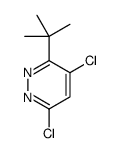 3-tert-butyl-4,6-dichloropyridazine Structure