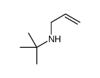 N-烯丙基-N-叔丁胺结构式