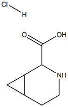 3-azabicyclo[4.1.0]heptane-2-carboxylic acid hydrochloride picture