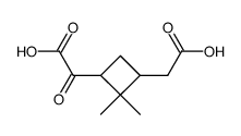 2-oxo-2,2'-(2,2-dimethyl-cyclobutane-1,3-diyl)-di-acetic acid结构式