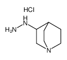 3-hydrazino-1-azabicyclo<2.2.2>octane dihydrochloride结构式