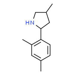 Pyrrolidine, 2-(2,4-dimethylphenyl)-4-methyl- (9CI)结构式
