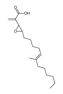 Conocandin structure