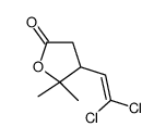4-(2,2-dichloroethenyl)-5,5-dimethyloxolan-2-one structure