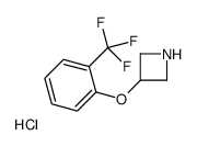 3-[2-(TRIFLUOROMETHYL)PHENOXY]AZETIDINE HYDROCHLORIDE结构式
