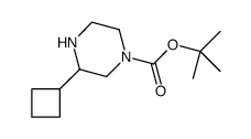 3-CYCLOBUTYL-PIPERAZINE-1-CARBOXYLIC ACID TERT-BUTYL ESTER结构式