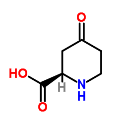 (2R)-4-Oxo-2-piperidinecarboxylic acid structure