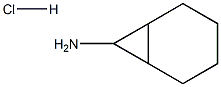 双环[4.1.0]庚7胺盐酸盐结构式