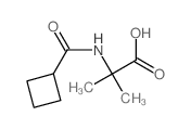 2-(Cyclobutanecarboxamido)-2-methylpropanoic acid structure