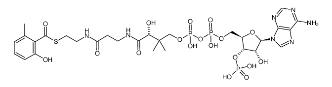S-(2-(3-((2R)-4-(((((((2R,3S,4R,5R)-5-(6-amino-9H-purin-9-yl)-4-hydroxy-3-(phosphonooxy)tetrahydrofuran-2-yl)methoxy)(hydroxy)phosphoryl)oxy)(hydroxy)phosphoryl)oxy)-2-hydroxy-3,3-dimethylbutanamido)propanamido)ethyl) 2-hydroxy-6-methylbenzothioate结构式