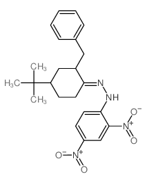N-[(2-benzyl-4-tert-butylcyclohexylidene)amino]-2,4-dinitroaniline结构式