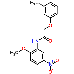 N-(2-Methoxy-5-nitrophenyl)-2-(3-methylphenoxy)acetamide Structure