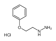 1-(2-NITRO-PHENYL)-PYRROLIDINE Structure