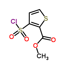 Methyl 3-chlorosulfonylthiophene-2-carboxylate picture