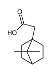 2-(7,7-dimethyl-4-bicyclo[2.2.1]heptanyl)acetic acid Structure