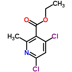 Ethyl 4,6-dichloro-2-methylnicotinate picture