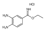 ethyl 3,4-diaminobenzimidate hydrochloride结构式