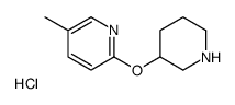 5-甲基-2-(3-哌啶基氧基)吡啶盐酸盐结构式