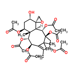 1- acetoxy-5-deacetyl-baccatin I结构式