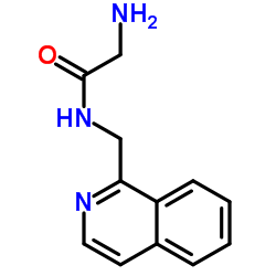 N-(1-Isoquinolinylmethyl)glycinamide结构式