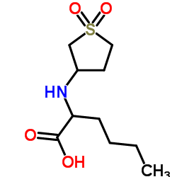 2-(1,1-DIOXO-TETRAHYDRO-1-THIOPHEN-3-YLAMINO)-HEXANOIC ACID结构式