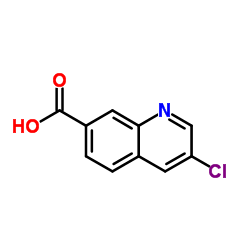 3-chloroquinoline-7-carboxylic acid picture