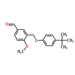 3-(4-TERT-BUTYL-PHENOXYMETHYL)-4-METHOXY-BENZALDEHYDE structure