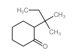 2-(2-methylbutan-2-yl)cyclohexan-1-one Structure