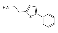 2-(5-phenylthiophen-2-yl)ethanamine结构式