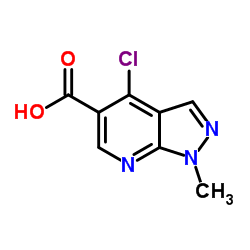 4-Chloro-1-Methyl-1H-pyrazolo[3,4-b]pyridine-5-carboxylic acid Structure