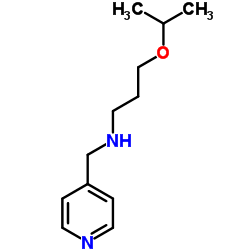 (3-ISOPROPOXY-PROPYL)-PYRIDIN-4-YLMETHYL-AMINE Structure