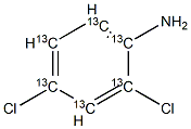 2,4-Dichloroaniline-[13C6] Structure