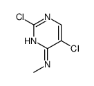 2,5-dichloro-N-methylpyrimidin-4-amine picture