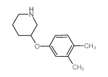 3-(3,4-Dimethylphenoxy)piperidine结构式