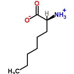 (2S)-2-Ammoniooctanoate picture