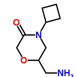 6-Aminomethyl-4-cyclobutyl-morpholin-3-one结构式