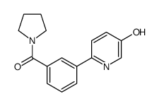 [3-(5-hydroxypyridin-2-yl)phenyl]-pyrrolidin-1-ylmethanone Structure