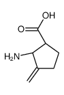 Cyclopentanecarboxylic acid, 2-amino-3-methylene-, cis- (9CI) Structure