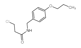 3-chloro-N-[(4-propoxyphenyl)methyl]propanamide结构式