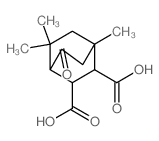 Bicyclo[2.2.2]octane-2,3-dicarboxylicacid, 1,5,5-trimethyl-8-oxo-, (1a,2b,3b,4a)- (9CI)结构式
