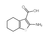 2-Amino-4,5,6,7-tetrahydrobenzo[b]thiophene-3-carboxylic acid structure