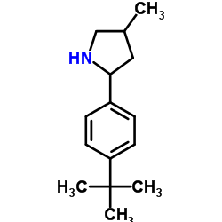 Pyrrolidine, 2-[4-(1,1-dimethylethyl)phenyl]-4-methyl- (9CI) Structure